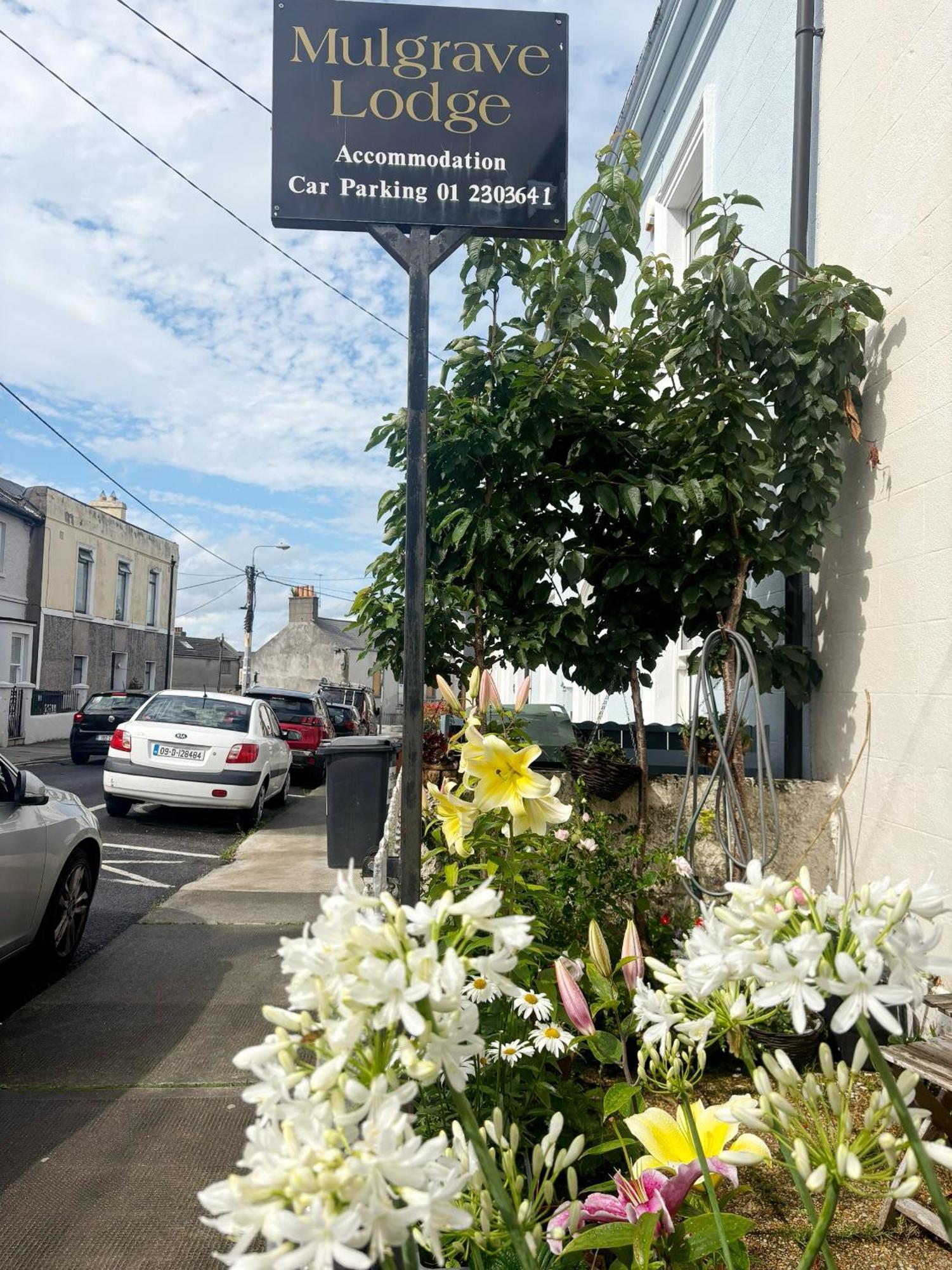 Mulgrave Lodge Dun Laoghaire Ngoại thất bức ảnh